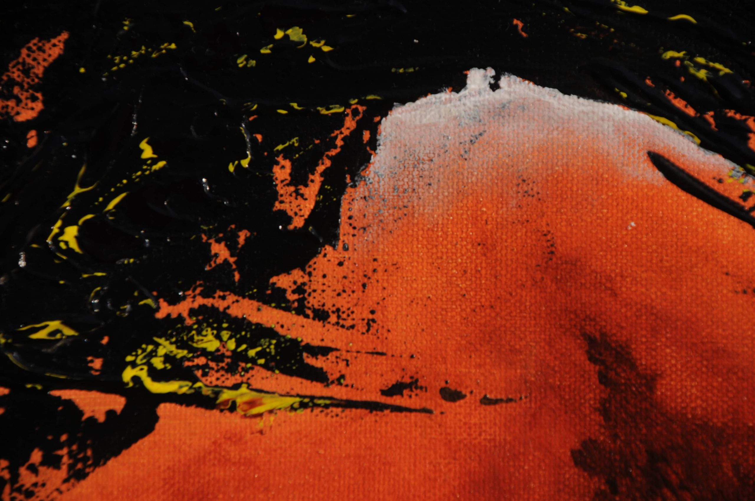Oeil de taureau