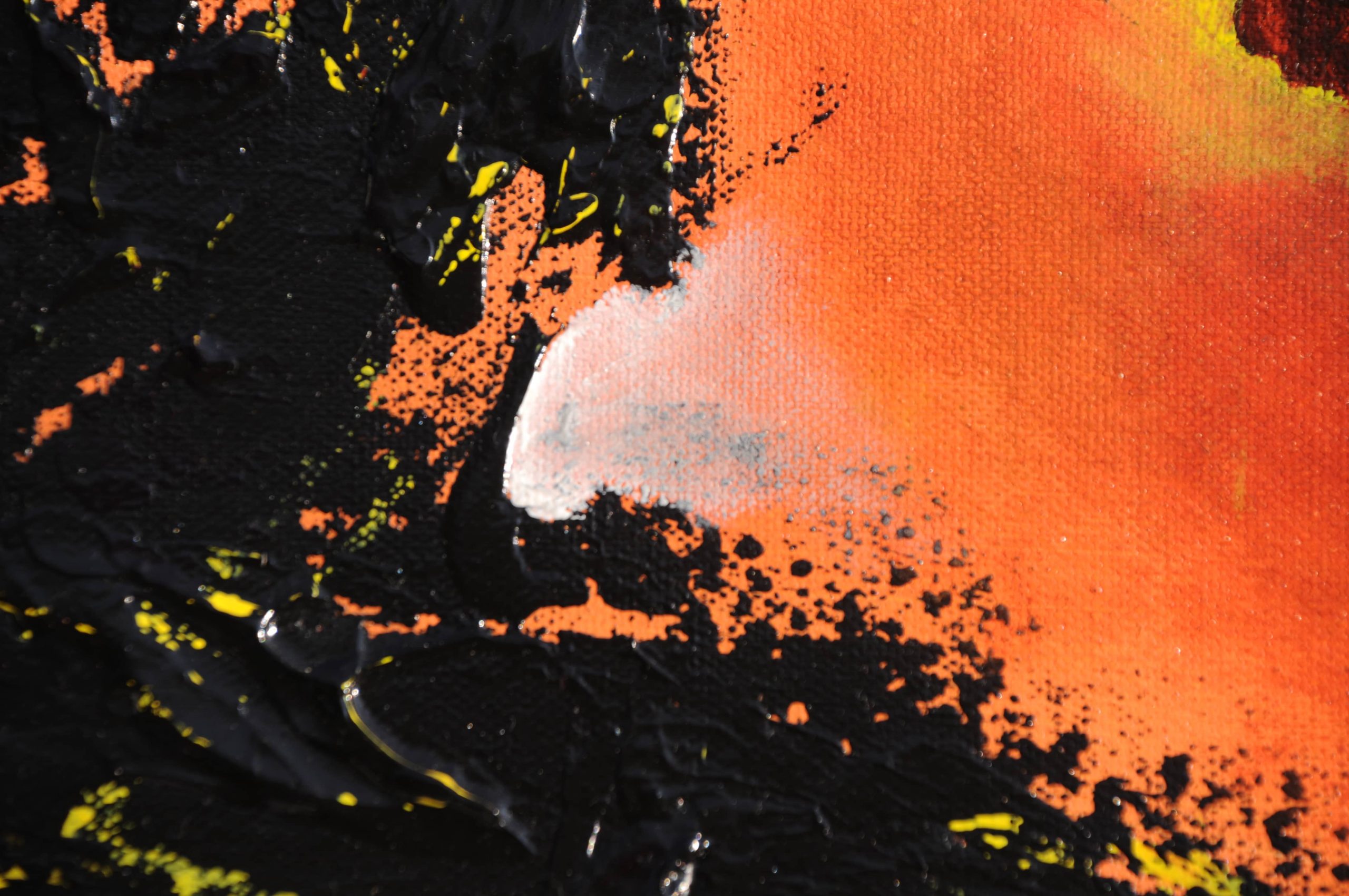 Oeil de taureau