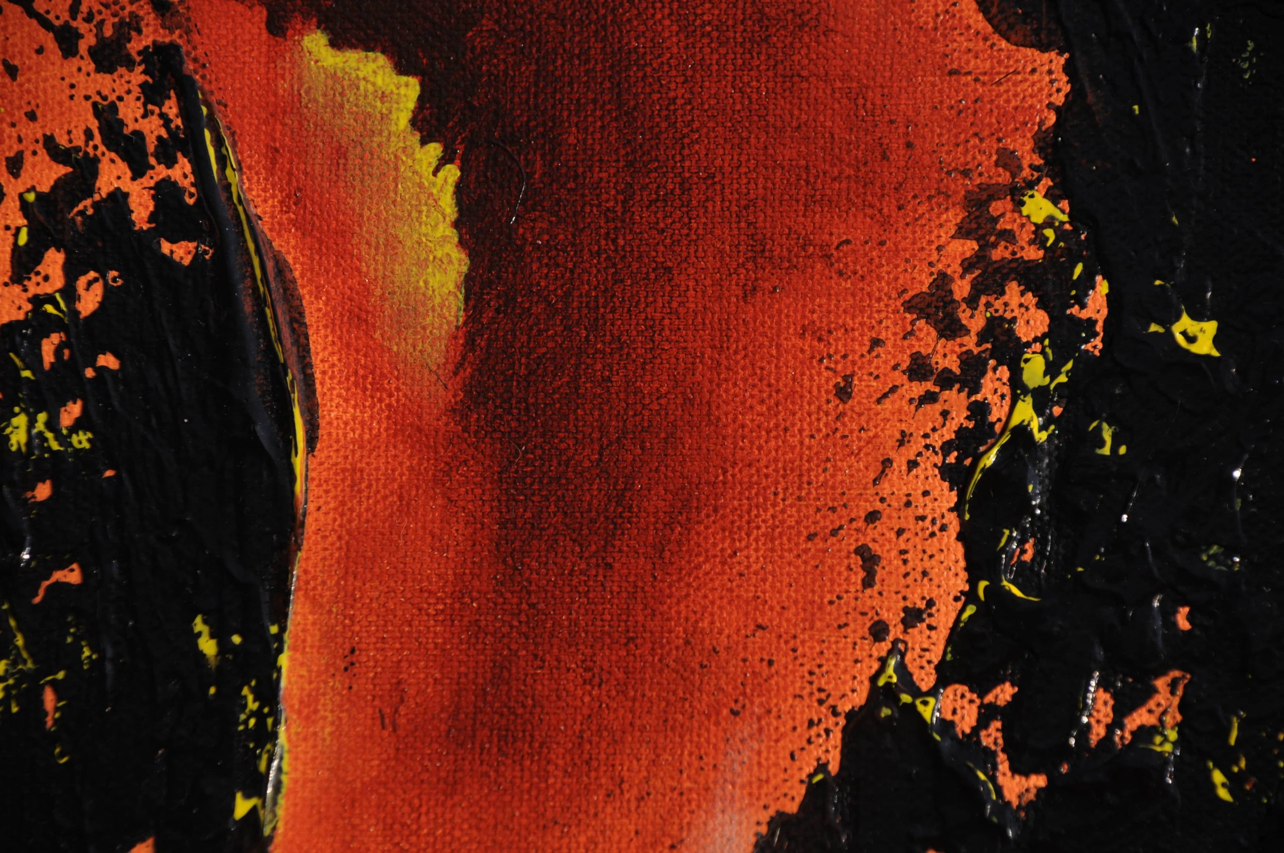 Oeil de taureau