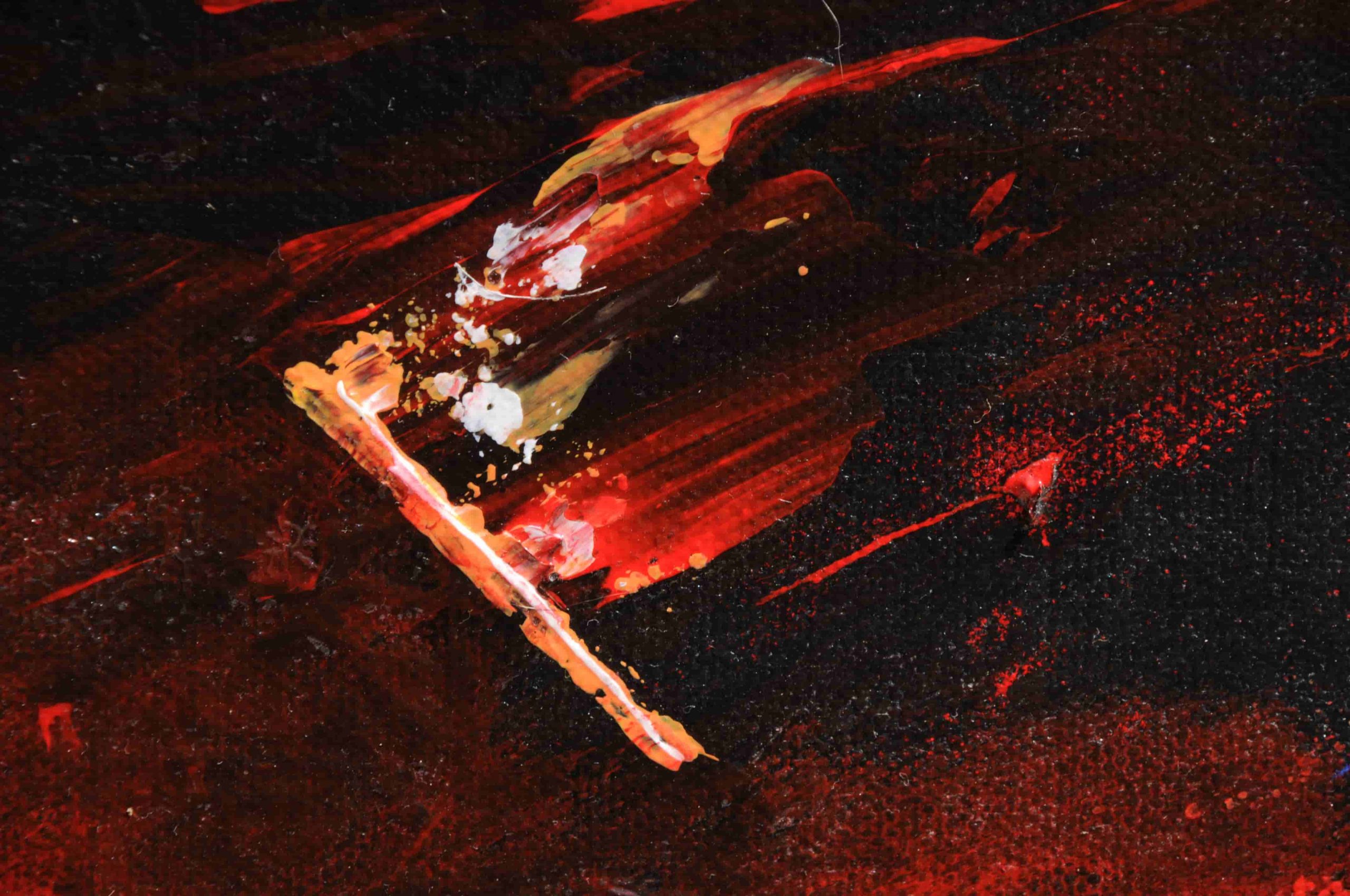 Oeil de taureau