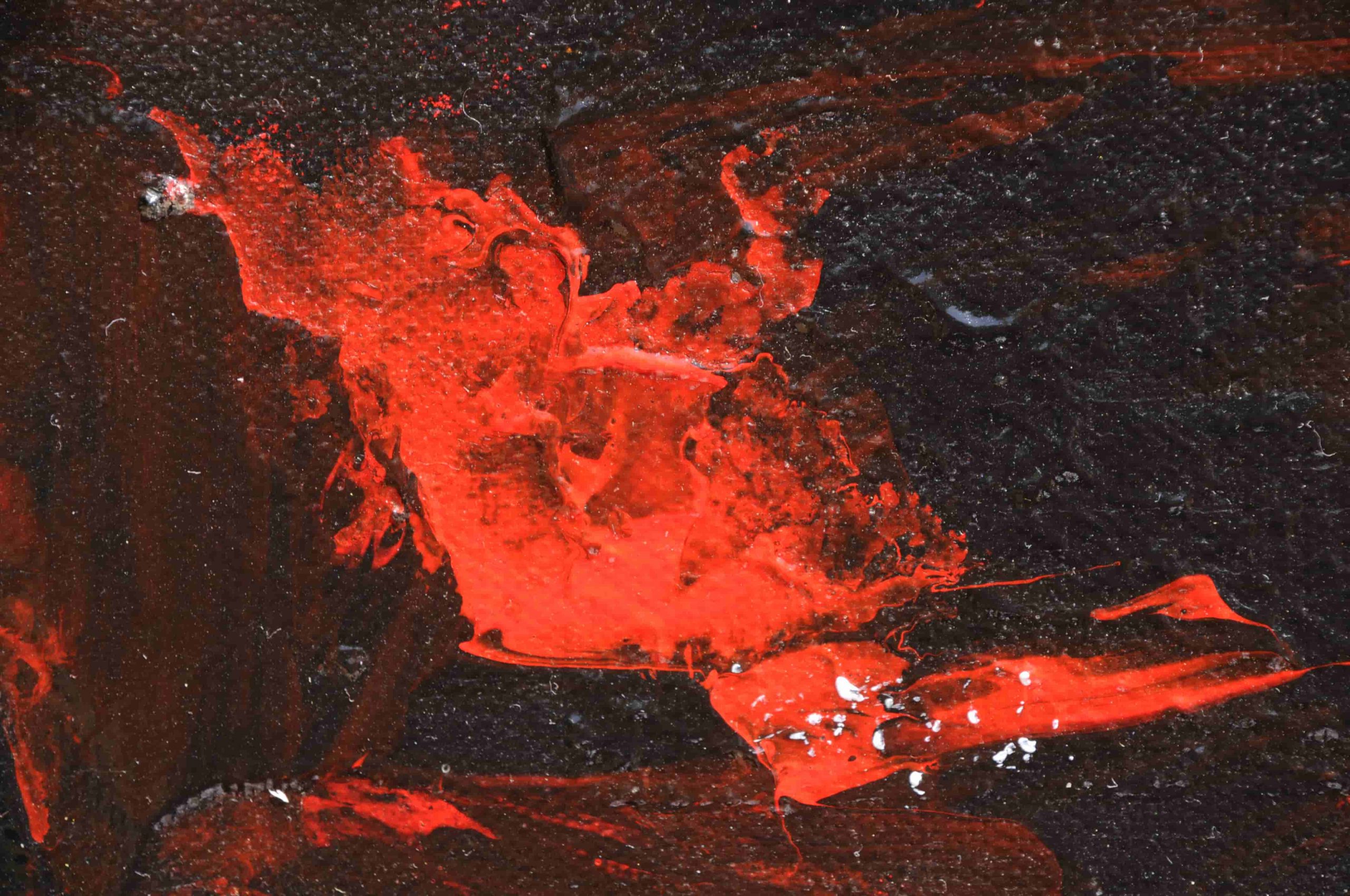 Oeil de taureau